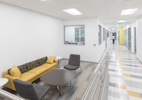 MK Construction & Renovation Lab Remodel